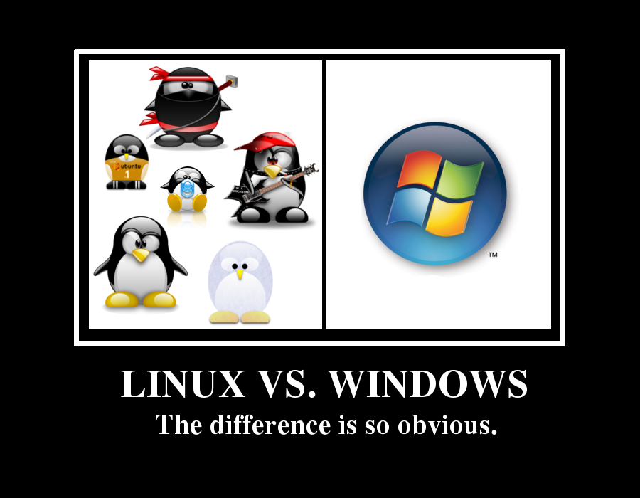 Linux Vs Windows Hosting
